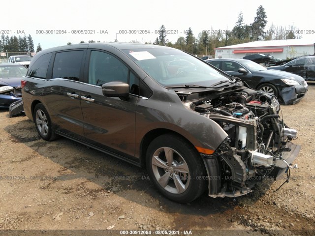 HONDA ODYSSEY 2018 5fnrl6h72jb097756