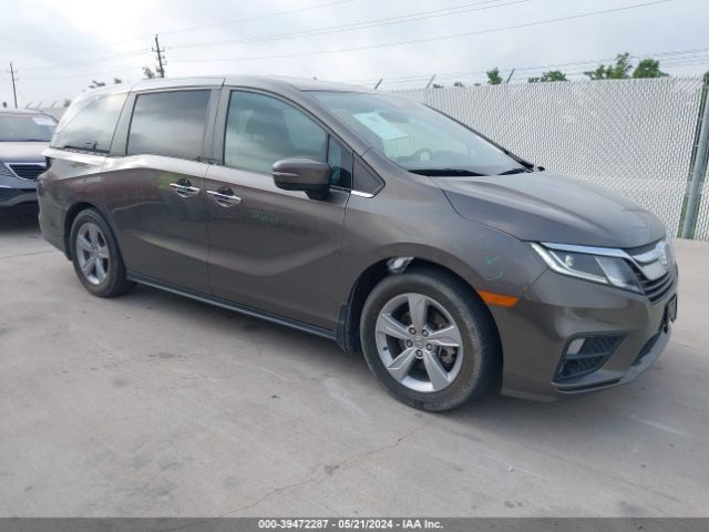 HONDA ODYSSEY 2018 5fnrl6h72jb105807