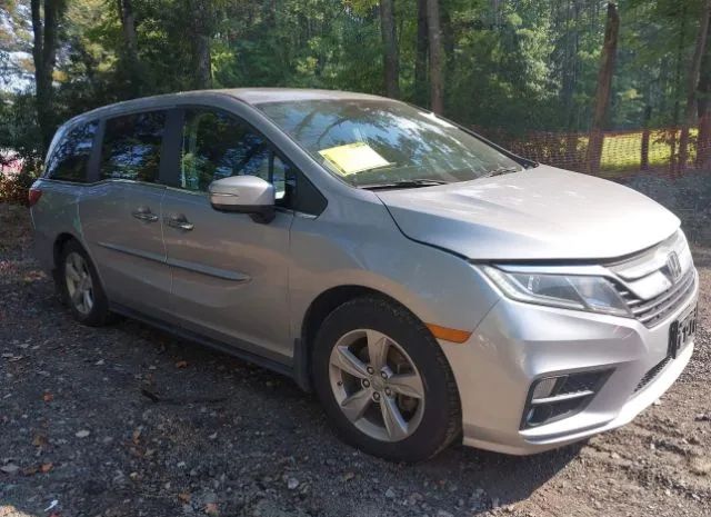 HONDA ODYSSEY 2019 5fnrl6h72kb031760