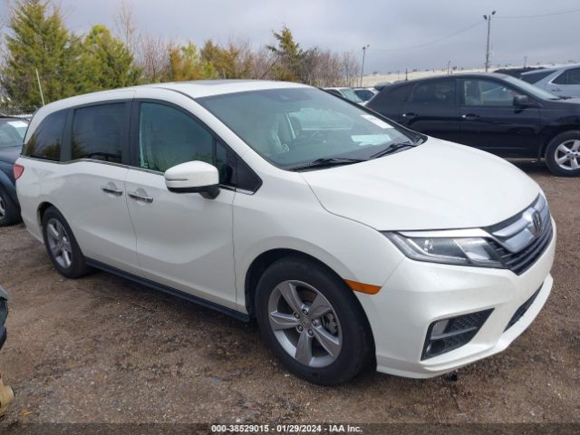 HONDA ODYSSEY 2019 5fnrl6h72kb038126