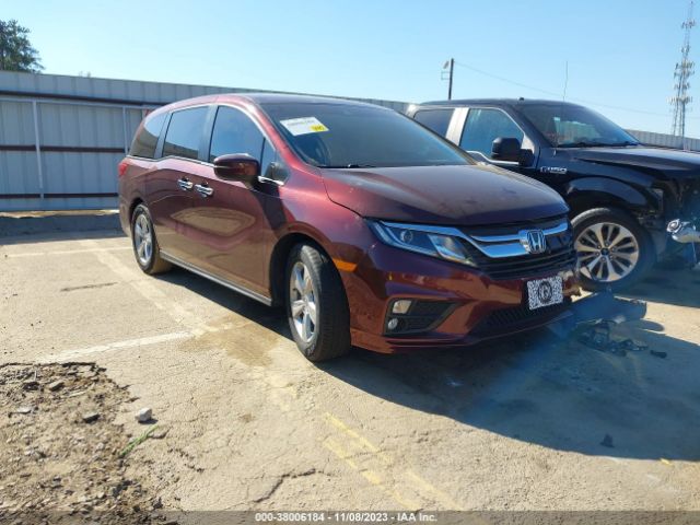 HONDA ODYSSEY 2019 5fnrl6h72kb048686