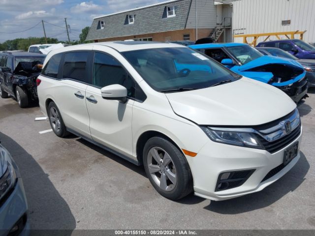 HONDA ODYSSEY 2019 5fnrl6h72kb056996