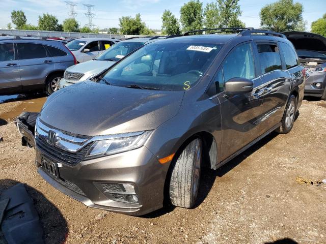 HONDA ODYSSEY EX 2019 5fnrl6h72kb091909