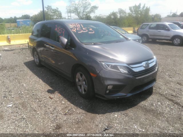 HONDA ODYSSEY 2019 5fnrl6h72kb095734