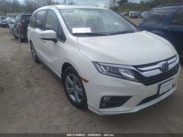 HONDA ODYSSEY 2019 5fnrl6h72kb103718