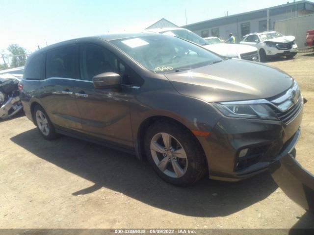 HONDA ODYSSEY 2019 5fnrl6h72kb111883