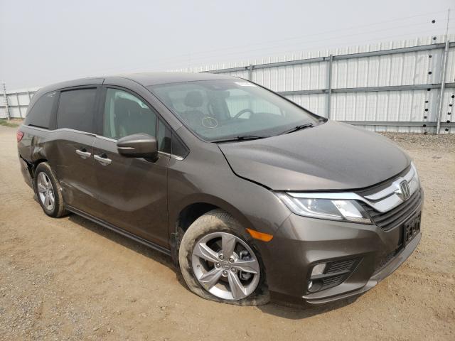 HONDA ODYSSEY EX 2019 5fnrl6h72kb131616