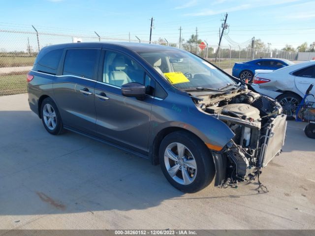 HONDA ODYSSEY 2019 5fnrl6h72kb138162