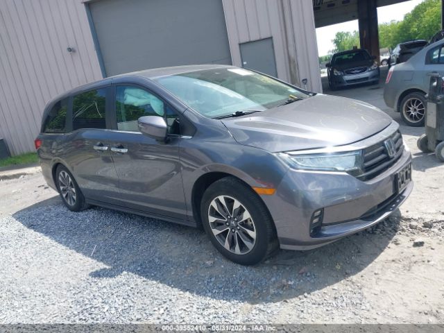 HONDA ODYSSEY 2022 5fnrl6h72nb004787