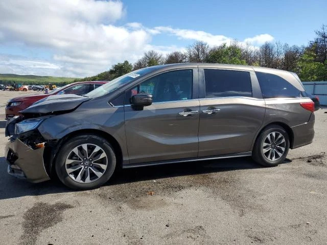 HONDA ODYSSEY EX 2022 5fnrl6h72nb010332