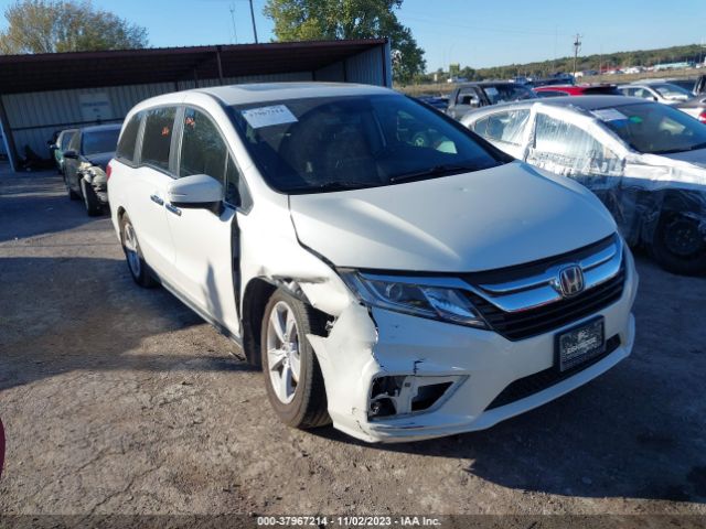 HONDA ODYSSEY 2019 5fnrl6h73kb007788