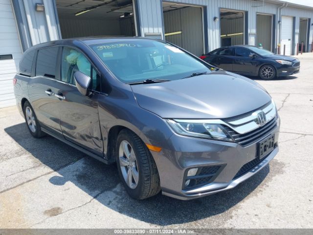 HONDA ODYSSEY 2019 5fnrl6h73kb060958