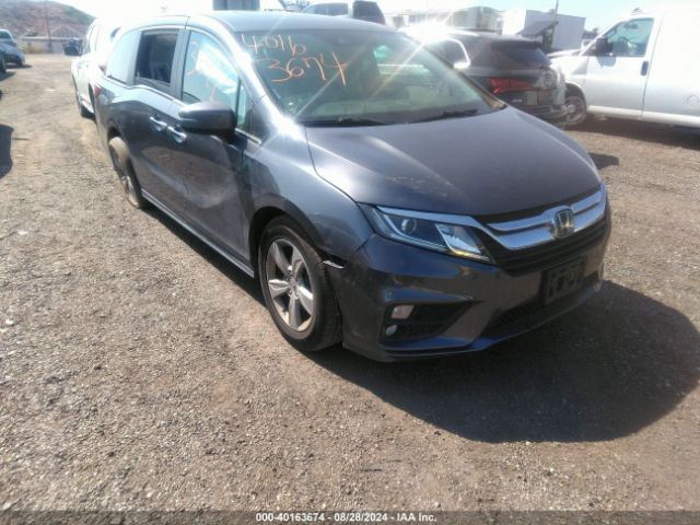 HONDA ODYSSEY 2019 5fnrl6h73kb110323