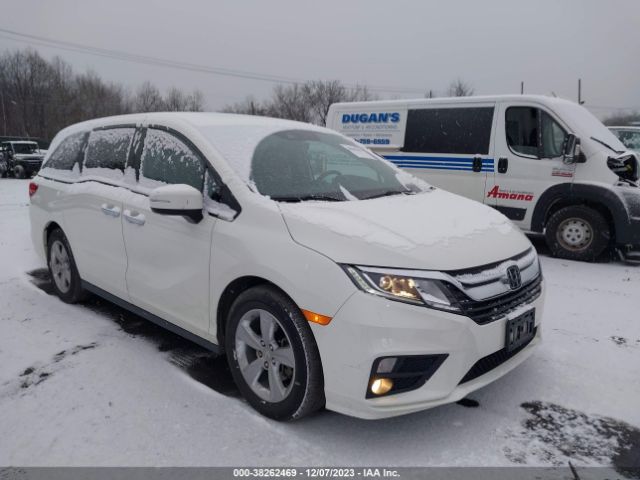 HONDA ODYSSEY 2019 5fnrl6h73kb112105