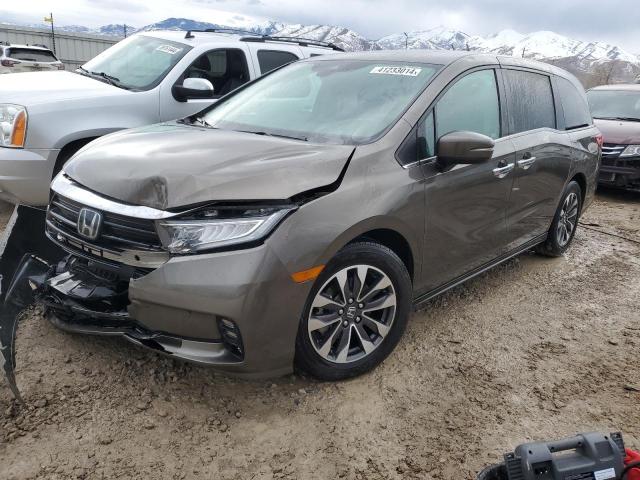 HONDA ODYSSEY EX 2021 5fnrl6h73mb011150