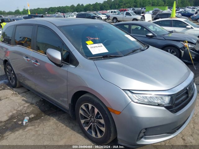 HONDA ODYSSEY 2022 5fnrl6h73nb060138