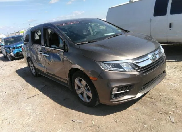 HONDA ODYSSEY 2018 5fnrl6h74jb036957