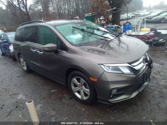 HONDA ODYSSEY 2019 5fnrl6h74kb003376