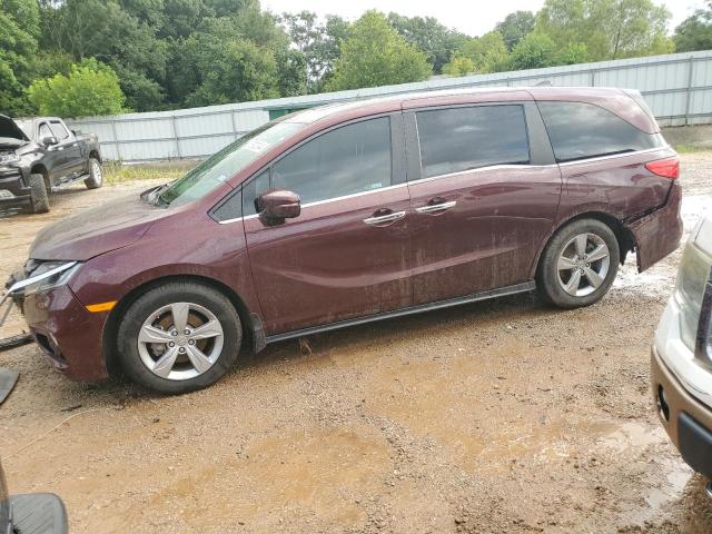 HONDA ODYSSEY EX 2019 5fnrl6h74kb020632