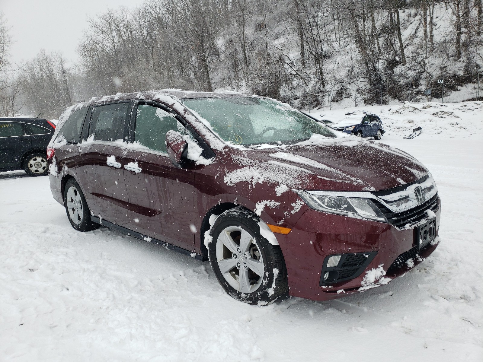 HONDA ODYSSEY 2019 5fnrl6h74kb024258