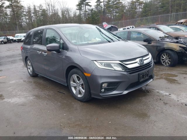 HONDA ODYSSEY 2019 5fnrl6h74kb025345