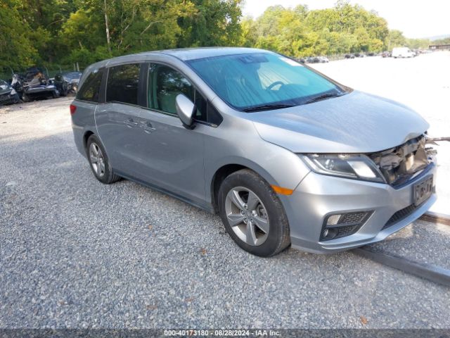 HONDA ODYSSEY 2019 5fnrl6h74kb028486