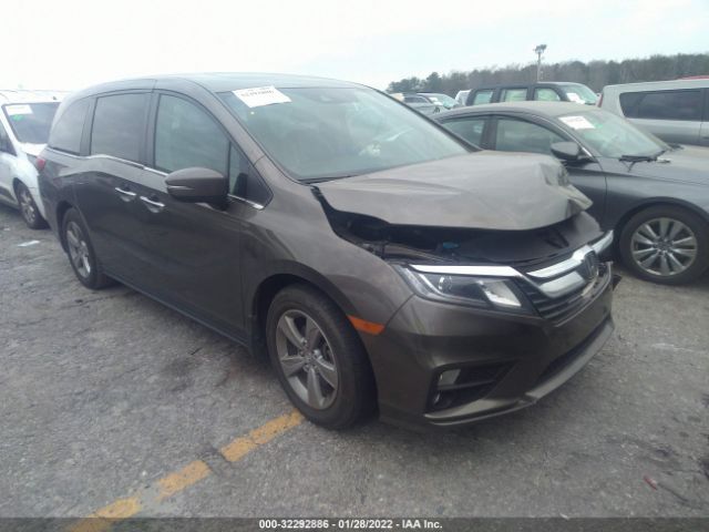 HONDA ODYSSEY 2019 5fnrl6h74kb104269