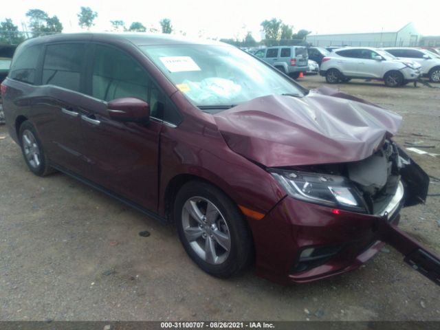 HONDA ODYSSEY 2019 5fnrl6h74kb125218