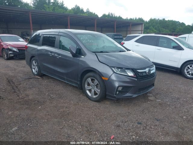 HONDA ODYSSEY 2019 5fnrl6h74kb130791