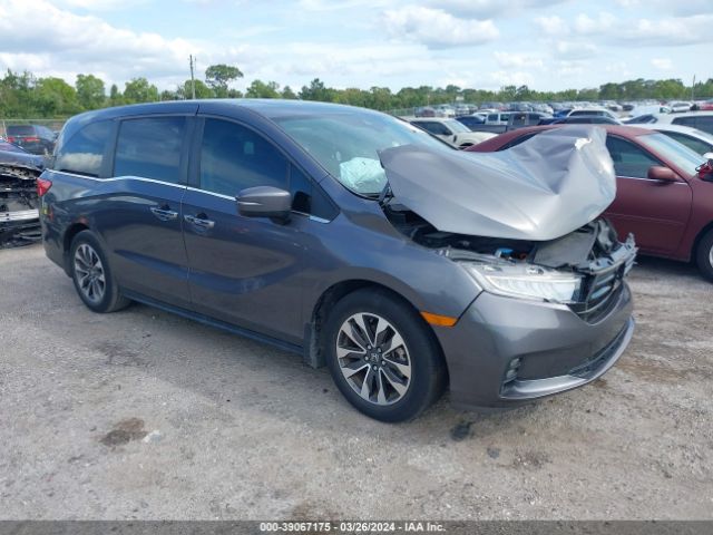 HONDA ODYSSEY 2022 5fnrl6h74nb002085