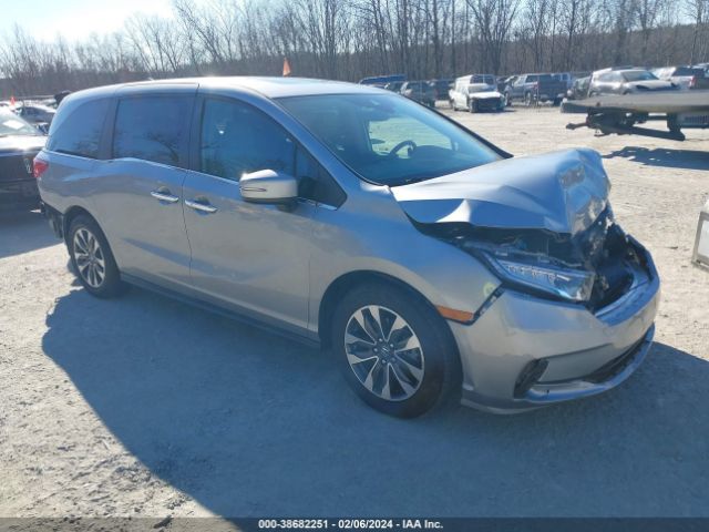 HONDA ODYSSEY 2022 5fnrl6h74nb018402