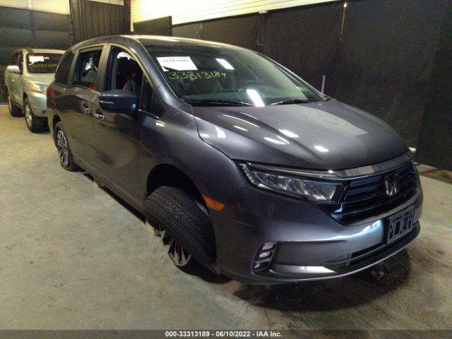 HONDA ODYSSEY 2022 5fnrl6h74nb044899