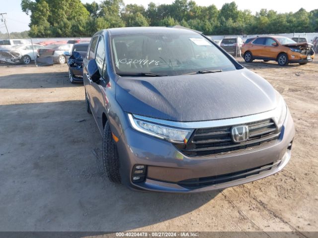 HONDA ODYSSEY 2022 5fnrl6h74nb063940