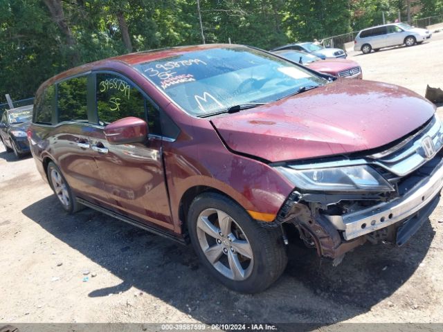 HONDA ODYSSEY 2018 5fnrl6h75jb034621