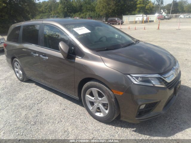 HONDA ODYSSEY 2019 5fnrl6h75kb010787