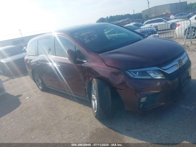 HONDA ODYSSEY 2019 5fnrl6h75kb015908