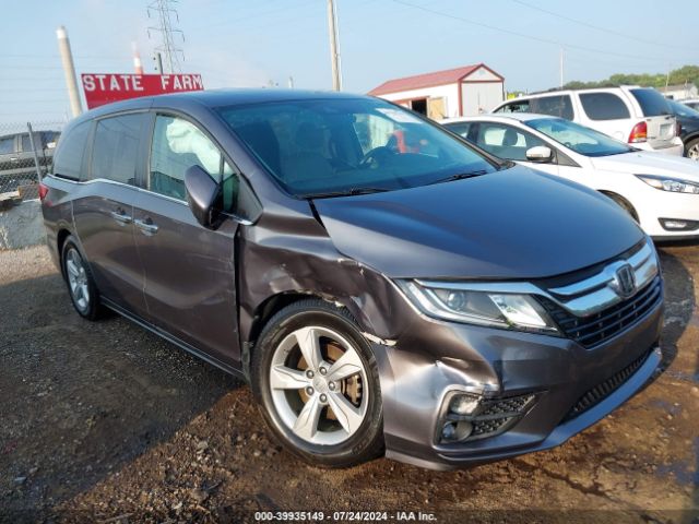 HONDA ODYSSEY 2019 5fnrl6h75kb056491