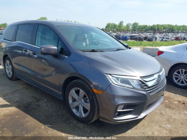 HONDA ODYSSEY 2019 5fnrl6h75kb063148