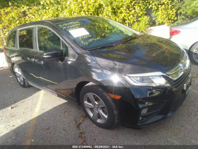 HONDA ODYSSEY 2019 5fnrl6h75kb070326