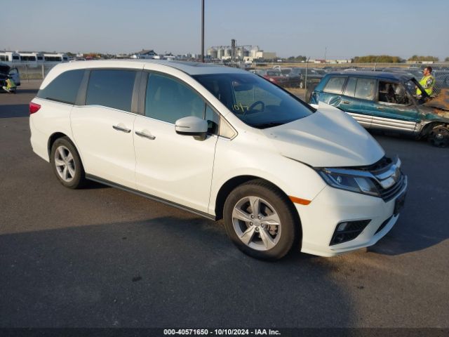 HONDA ODYSSEY 2019 5fnrl6h75kb075977