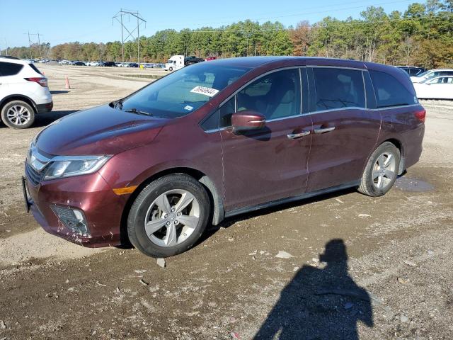 HONDA ODYSSEY EX 2019 5fnrl6h75kb086171