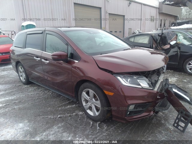 HONDA ODYSSEY 2019 5fnrl6h75kb097283