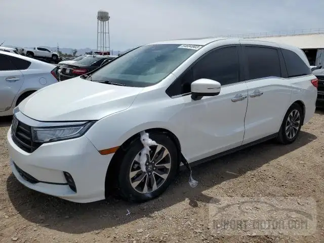 HONDA ODYSSEY 2021 5fnrl6h75mb029682