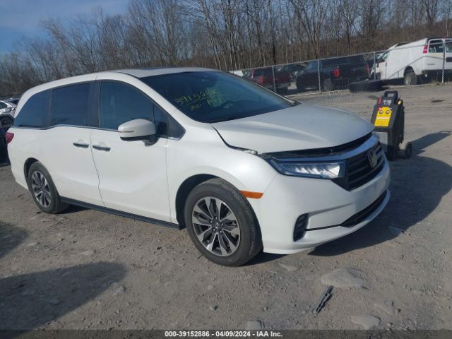 HONDA ODYSSEY 2021 5fnrl6h75mb033151