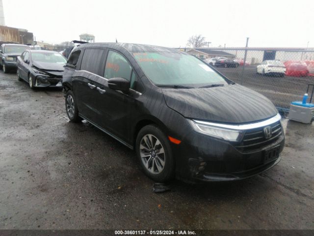 HONDA ODYSSEY 2022 5fnrl6h75nb032504