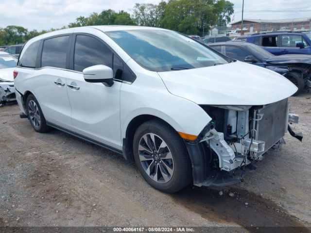 HONDA ODYSSEY 2022 5fnrl6h75nb052588