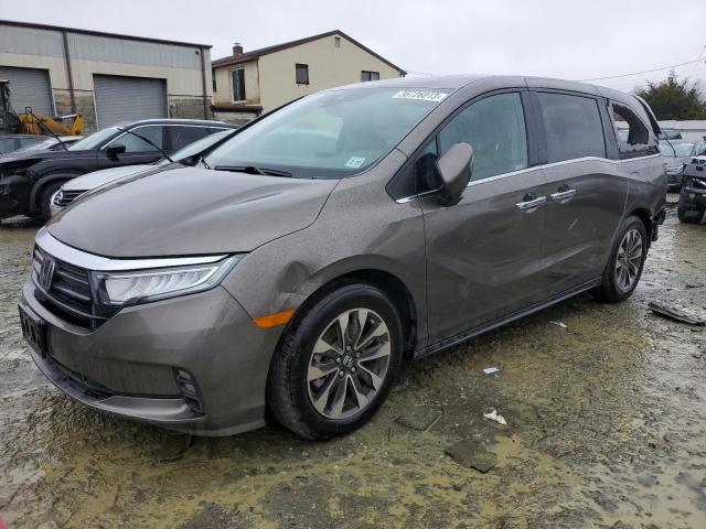 HONDA ODYSSEY 2022 5fnrl6h75nb061145