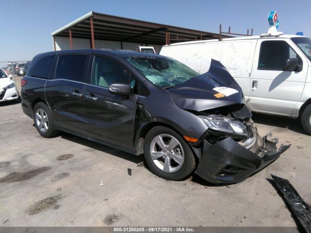 HONDA ODYSSEY 2019 5fnrl6h76kb018607