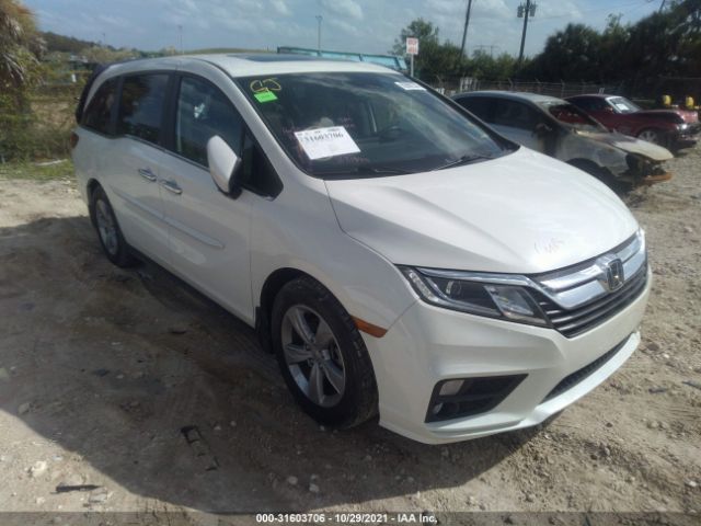 HONDA ODYSSEY 2019 5fnrl6h76kb026836