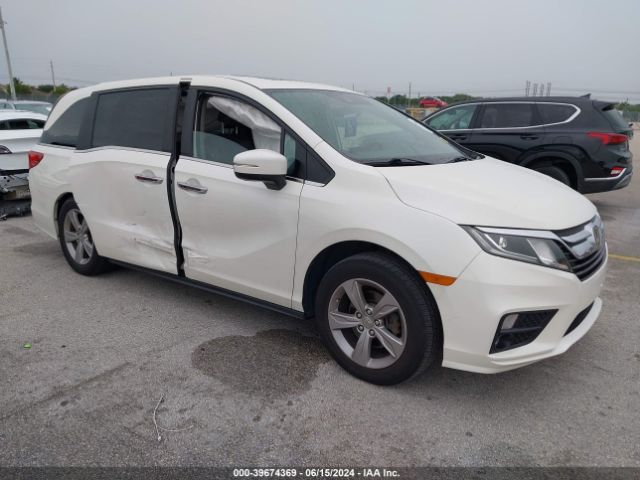 HONDA ODYSSEY 2019 5fnrl6h76kb030319